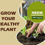 Neem Pellets for Plants