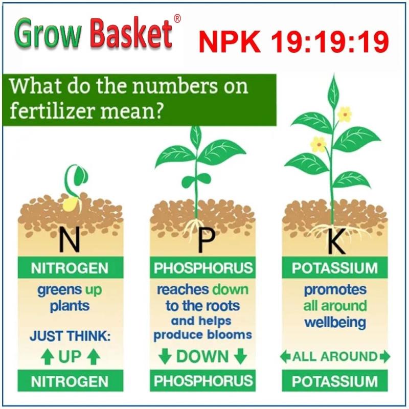 NPK Fertilizer for Plants - Boost Growth & Flowering Water-Soluble, Easy to Use