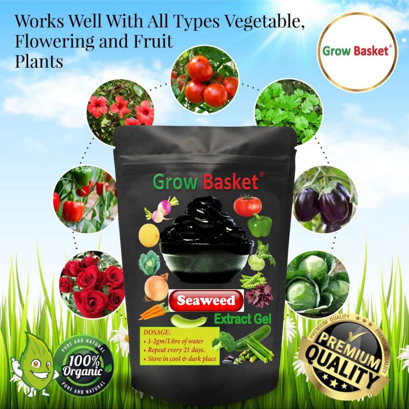 Organic Seaweed Extract Plant Growth Promoter | All Purpose Organic Fertilizer for Plants