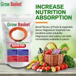 Premium Epsom Salt for Plants