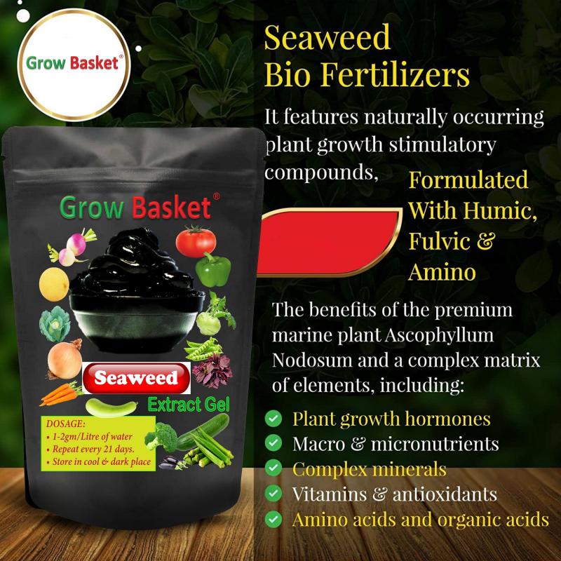 Organic Seaweed Extract Plant Growth Promoter | All Purpose Organic Fertilizer for Plants