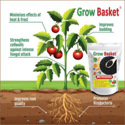 BIO GRANULES Organic Seaweed Granules Fertilizer | Plant Growth Promoter with Humic, Amino, Fulvic