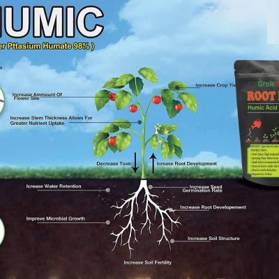 Humic Acid (98%) for Plants | Organic Growth Enhancer & Soil Conditioner