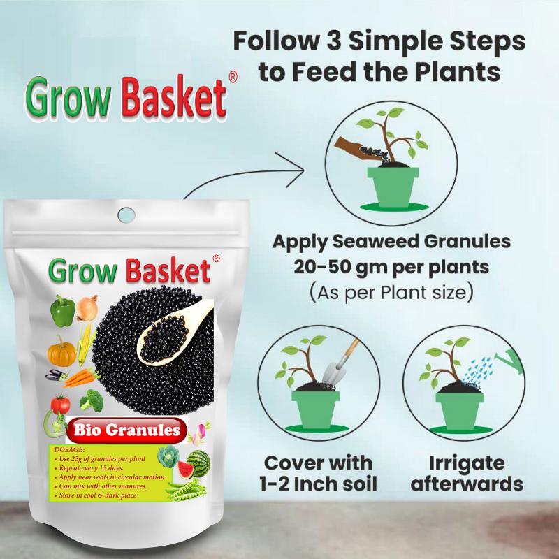BIO GRANULES Organic Seaweed Granules Fertilizer | Plant Growth Promoter with Humic, Amino, Fulvic