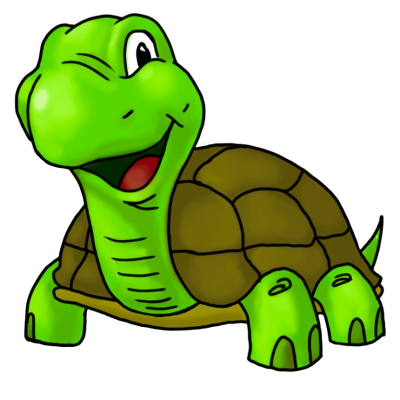 Premium Turtle Food Daily Nutrition Sticks with Spirulina and Stabilized Vitamin C Diet for Healthy Growth
