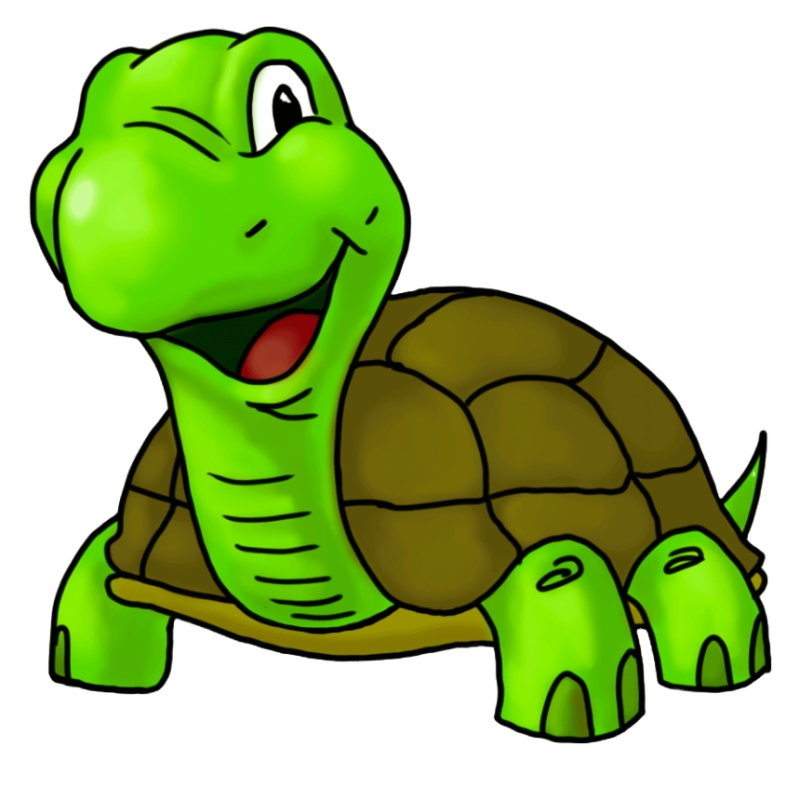 Premium Turtle Food Daily Nutrition Sticks with Spirulina and Stabilized Vitamin C Diet for Healthy Growth