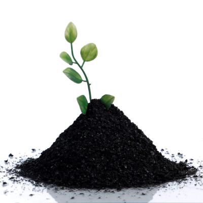 Humic Acid (98%) for Plants | Organic Growth Enhancer & Soil Conditioner