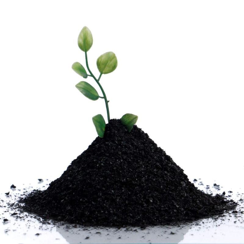 Humic Acid (98%) for Plants | Organic Growth Enhancer & Soil Conditioner