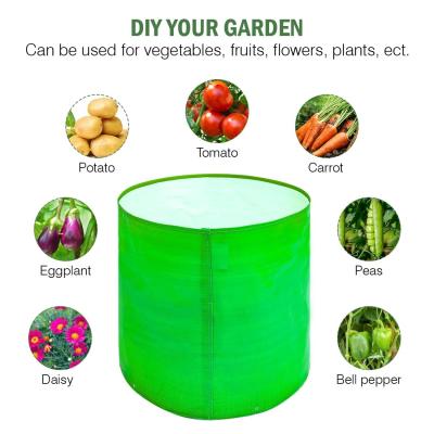 Premium HDPE UV Protected 220 GSM Round Grow Bags 12x12 Inch for Terrace & Vegetable Gardening