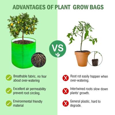 Premium HDPE UV Protected 220 GSM Round Grow Bags 12x12 Inch for Terrace & Vegetable Gardening