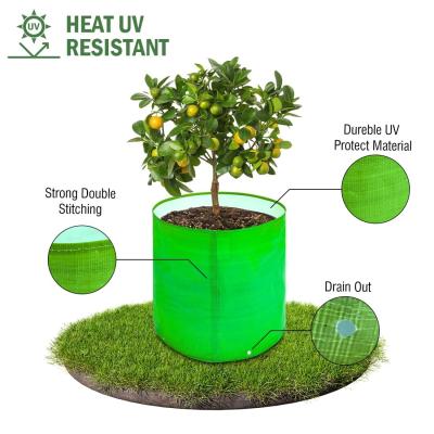 Premium HDPE UV Protected 220 GSM Round Grow Bags 12x12 Inch for Terrace & Vegetable Gardening