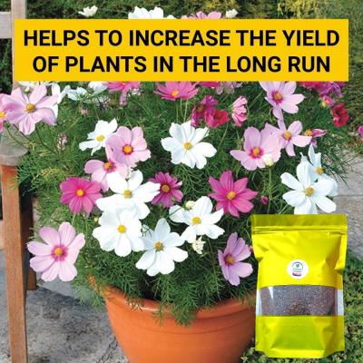 Neem Powder Organic Pesticide for Plants – 100% Natural Pest Repellent & Soil Enhancer