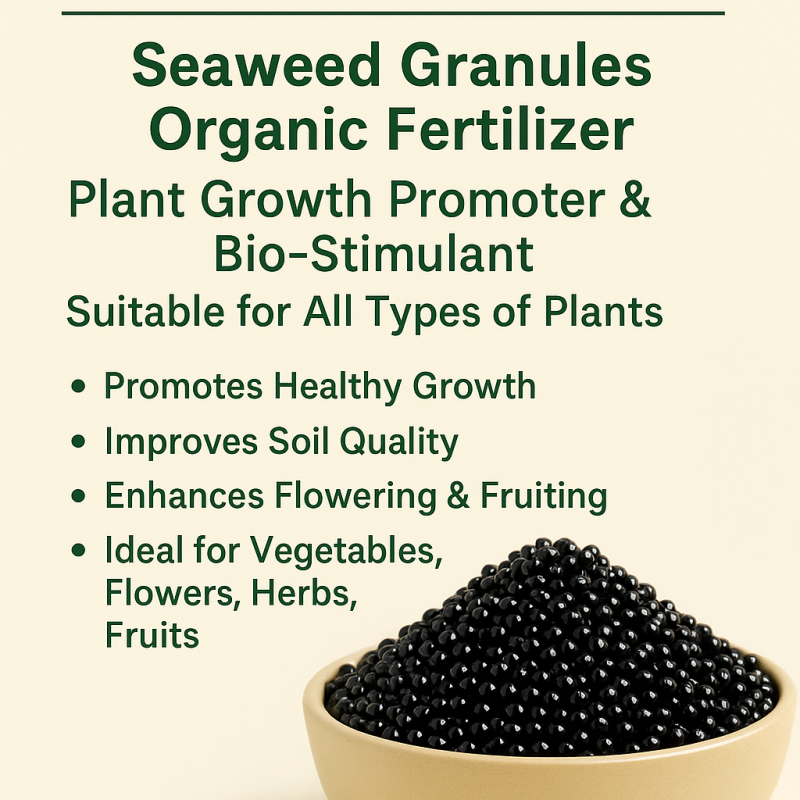 BIO GRANULES Organic Seaweed Granules Fertilizer | Plant Growth Promoter with Humic, Amino, Fulvic
