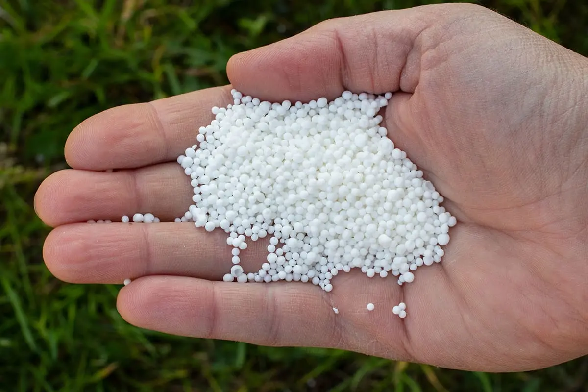 Buy Calcium Nitrate Granules for Gardening Online – Boost Plant Growth, Prevent Calcium Deficiency, Improve Fruit Quality & Root Strength – 100% Water-Soluble Fertilizer for All Plants