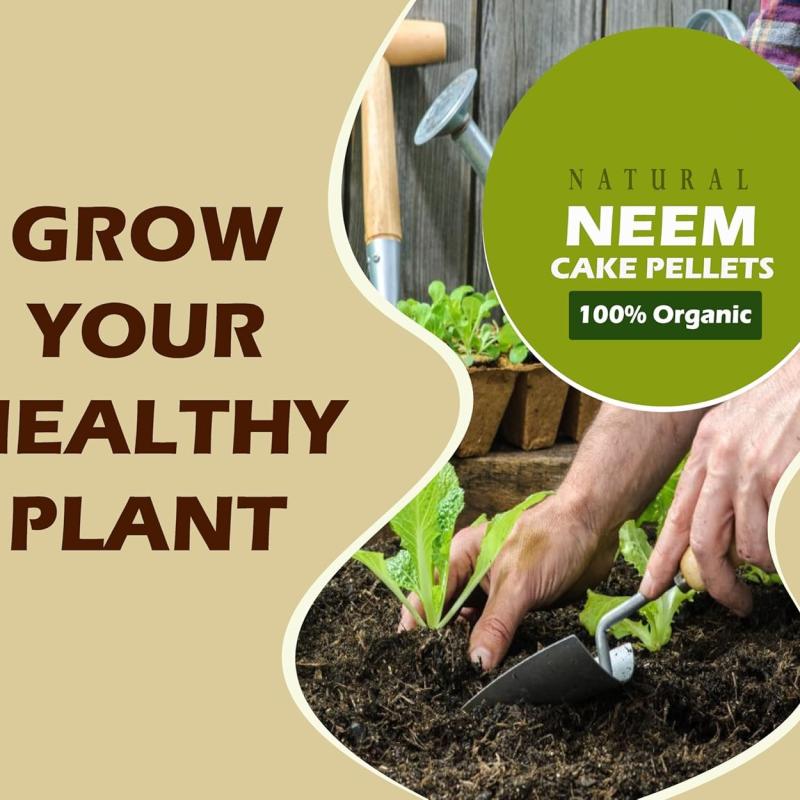 Neem Pellets for Plants | Organic Pest Control & Soil Conditioner | Natural Fertilizer | Grow Basket