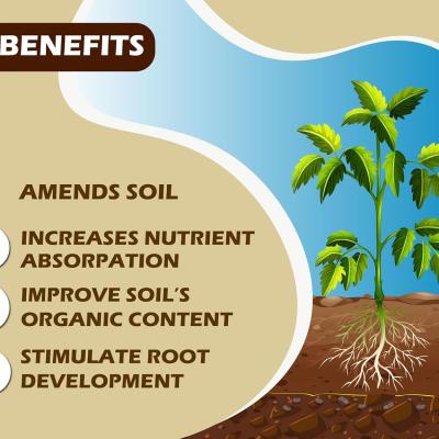 Neem Pellets for Plants | Organic Pest Control & Soil Conditioner | Natural Fertilizer | Grow Basket