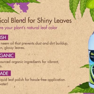 Neem Oil for Plants | Organic Pest Repellent & Leaf Shine | Natural Insecticide, Fungicide, Mite Control Spray