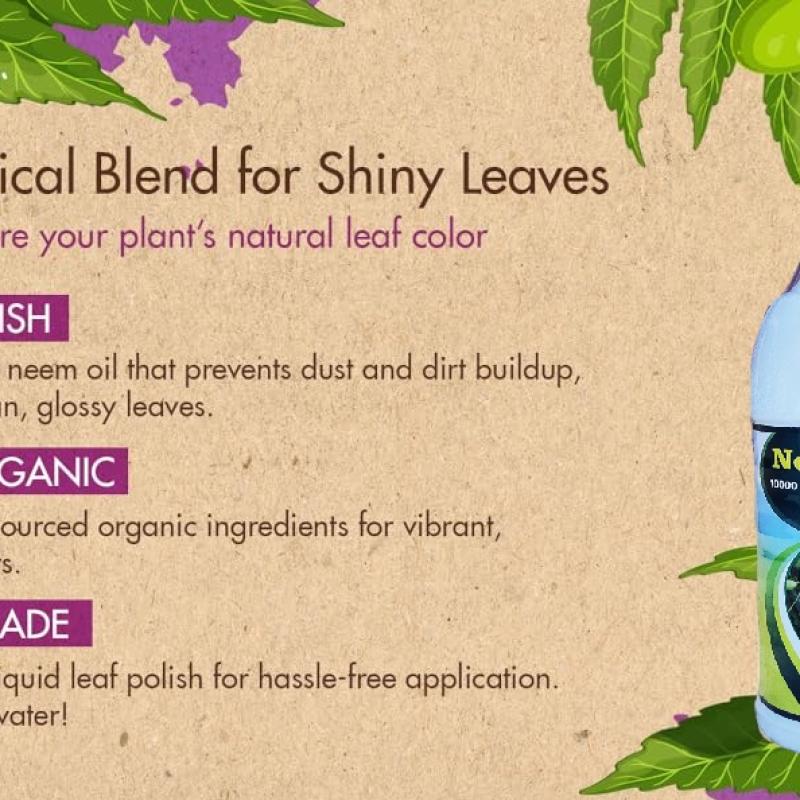 Neem Oil for Plants | Organic Pest Repellent & Leaf Shine | Natural Insecticide, Fungicide, Mite Control Spray