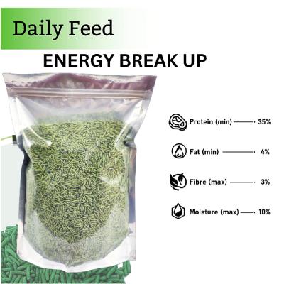 Premium Turtle Food Daily Nutrition Sticks with Spirulina and Stabilized Vitamin C Diet for Healthy Growth